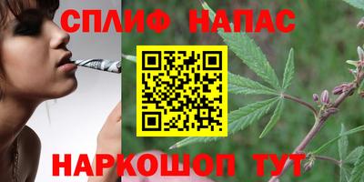 PSILOCYBIN Можга